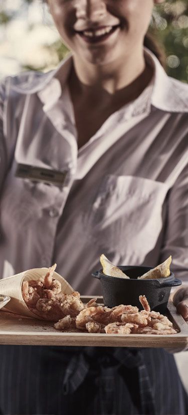 Gastronomic Philosophy