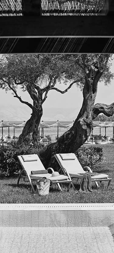 EXECUTIVE SUITE MIT EINEM SCHLAFZIMMER