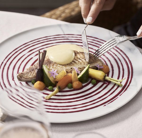 Gastronomic Philosophy