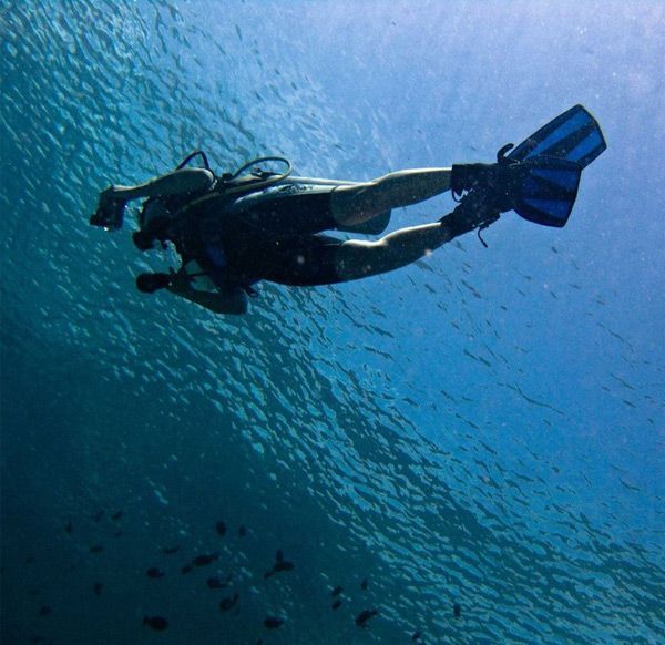 ΕΙΔΙΚΕΣ ΕΜΠΕΙΡΙΕΣ